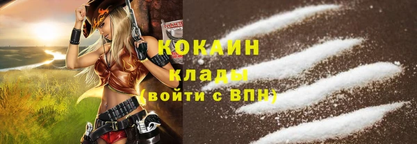 ешки Арсеньев