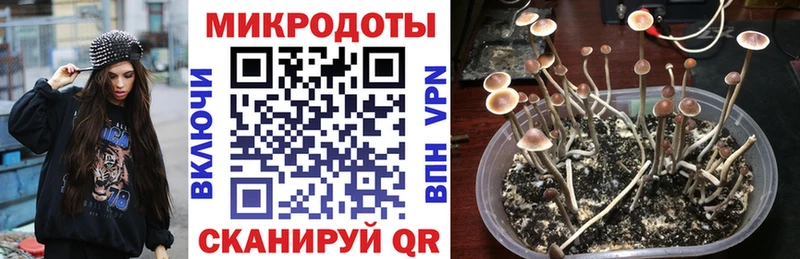 Псилоцибиновые грибы GOLDEN TEACHER  Бабушкин 